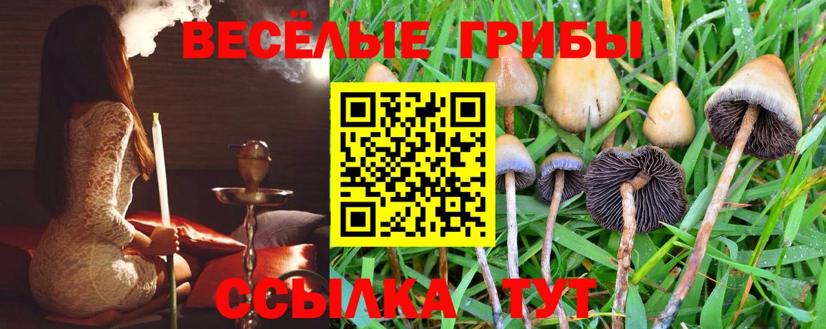 Галлюциногенные грибы прущие грибы  Вход с VPN  Новочебоксарск 